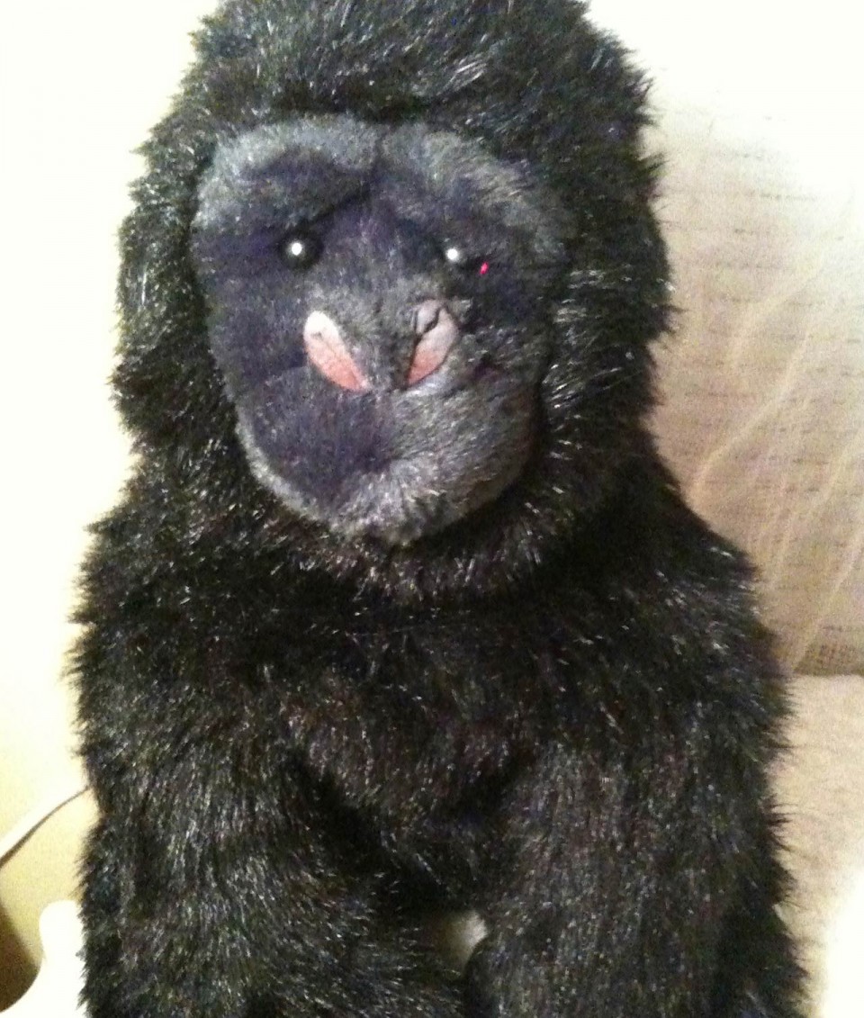 Julius
