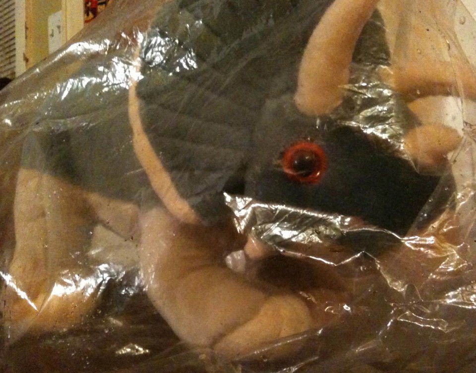 Unnamed Frozen Triceratops