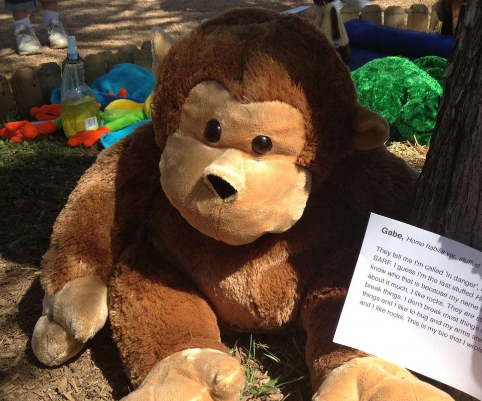 Gabe (Homo habilis var. stuffed)