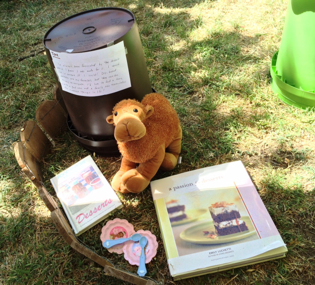 Tom the stuffed camel