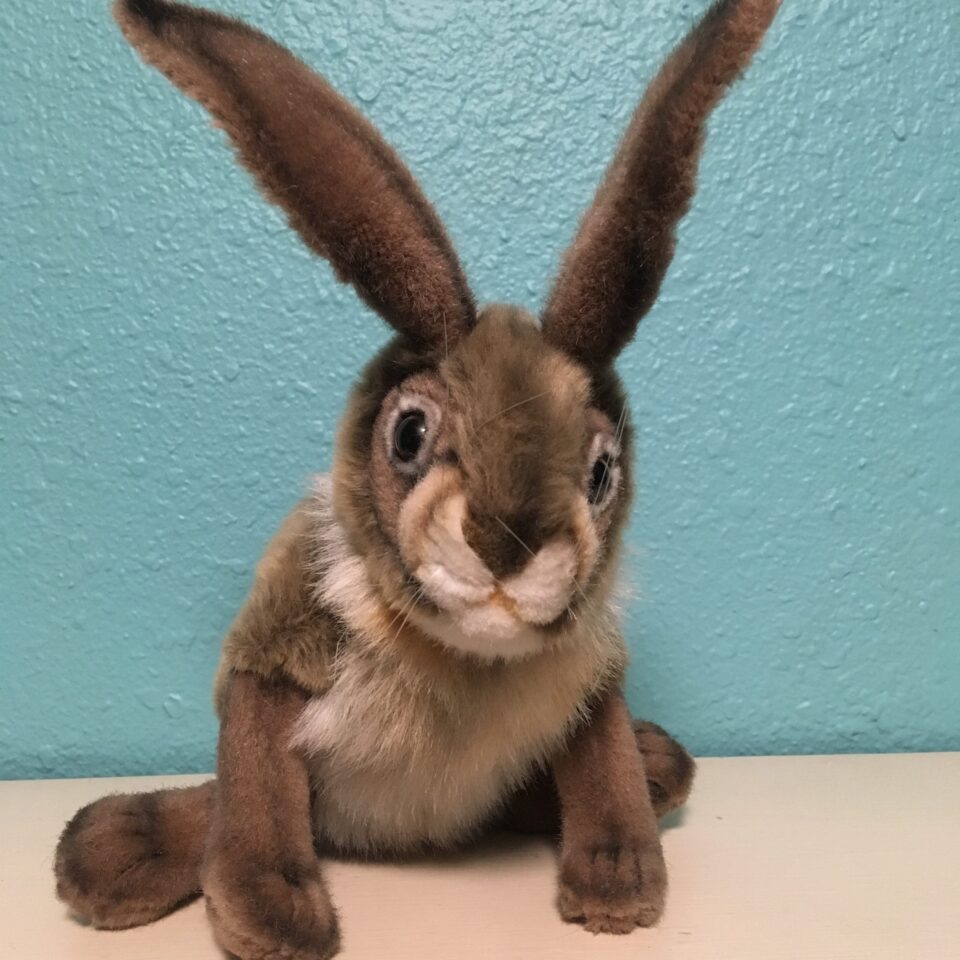 Benito